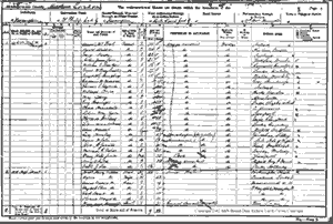 Census Example Page